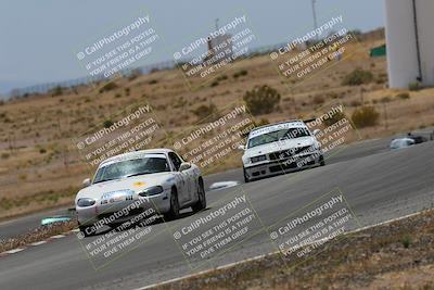 media/May-03-2025-Lucky Dog Racing (Sat) [[206de64b9d]]/Turn 6 (150pm-230pm)/